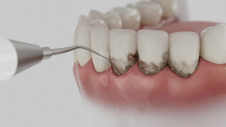 Reliable Dental contractor in St. George, SC by Dentist Open Now